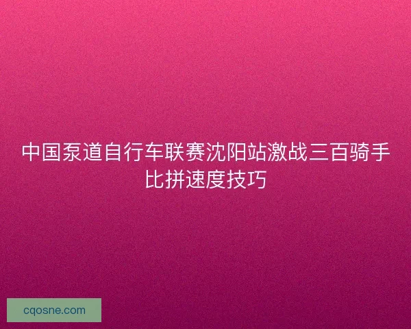 中国泵道自行车联赛沈阳站激战三百骑手比拼速度技巧